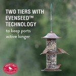 Large 2-Tier Outdoor Panorama Bird Feeder