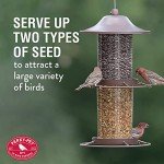 Large 2-Tier Outdoor Panorama Bird Feeder