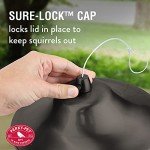 Large 2-Tier Outdoor Panorama Bird Feeder