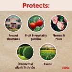 Sevin Insect Killer Ready-to-Use, 1 Gallon