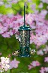 Brome Squirrel Buster Standard Bird Feeder