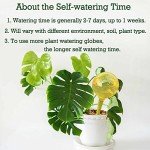 10 Pack Self-Watering Bulbs for Indoor Plants