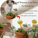 10 Pack Self-Watering Bulbs for Indoor Plants