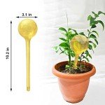 10 Pack Self-Watering Bulbs for Indoor Plants