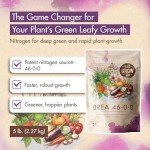 High Nitrogen Urea Fertilizer for Healthier Plants
