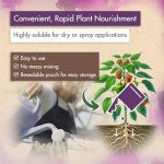 High Nitrogen Urea Fertilizer for Healthier Plants