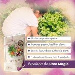 High Nitrogen Urea Fertilizer for Healthier Plants