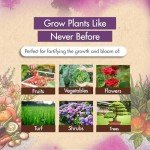 High Nitrogen Urea Fertilizer for Healthier Plants