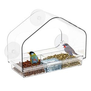 Clear Window Bird Feeder with Suction Cups