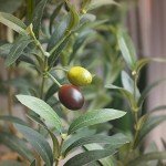 6ft Realistic Faux Olive Tree for Home Décor