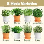 Deluxe 8 Herb Garden Kit for Unique Gifts