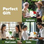 Deluxe 8 Herb Garden Kit for Unique Gifts