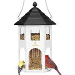 Kingsyard Hanging Metal Bird Feeder for Outdoors