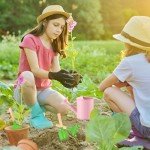 Colorful Kids 24-Piece Gardening Tool Set