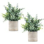 2 Pack Small Eucalyptus Potted Fake Plants