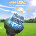 8-Pack Solar Pathway Lights for Outdoors