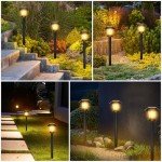 8-Pack Solar Pathway Lights for Outdoors