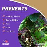 Neem Max Concentrated Neem Oil for Organic Gardening