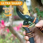 Hewog 8.5" Premium SK5 Steel Pruning Shears