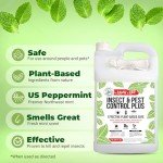 Natural Mint Oil Insect Control Spray – 1 Gallon