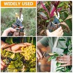 Hewog 8.5" Premium SK5 Steel Pruning Shears