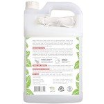 Natural Mint Oil Insect Control Spray – 1 Gallon