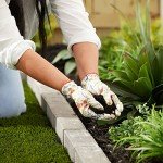 Brut Organic Worm Castings – 30 Lb Garden Boost