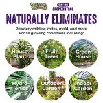 Natural Insecticidal Soap & Spider Mite Spray