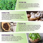 Natural Insecticidal Soap & Spider Mite Spray