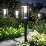 Bright Solar Pathway Lights - 8 Pack Outdoor