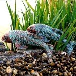 Set of 2 Antique Koi Fish Garden Statues