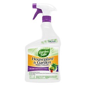 Garden Safe Insect Killer for Houseplants and Gardens