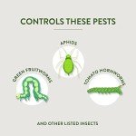 Garden Safe Insect Killer for Houseplants and Gardens