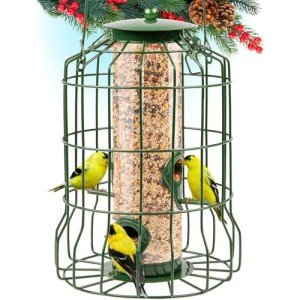 GrayBunny Squirrel-Proof Feeder for Wild Birds