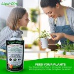 Organic All-Purpose Plant Food for Home Gardens