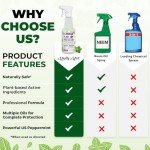 Mighty Mint Peppermint Insect Protection Spray, 16 oz