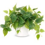 Artificial Potted Pothos Plant for Home Decor