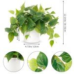 Artificial Potted Pothos Plant for Home Decor