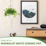 Artificial Potted Pothos Plant for Home Decor