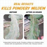 Earth's Ally Ready-to-Use Plant Disease Control Spray