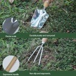 Stainless Steel Garden Tool Set with Wooden Handles