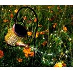 Solar Lantern Lights for Garden and Patio