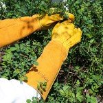 Durable Leather Gardening Gloves with Thorn Protection