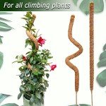 28-Inch Bendable Moss Pole for Climbing Plants