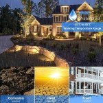 Solid Brass Low Voltage Landscape Spotlights (4 Pack)