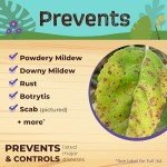 Neem Max Spray - 32 oz Organic Insecticide & Fungicide