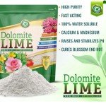 Organic Dolomite Lime for Garden Soil pH Balance