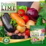 Organic Dolomite Lime for Garden Soil pH Balance