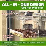WENMIXER Clear Window Bird Feeder for Garden