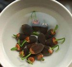 10pcs Colorful Lotus Seeds for Indoor and Outdoor Gardens